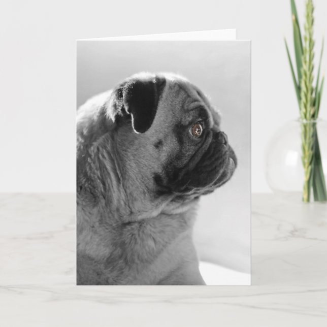 Pug in Profile Card (Front)
