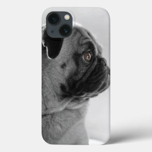 Pug in Profile iPhone 13 Case
