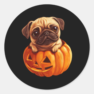 Pug In Pumpkin Halloween Pugkin Cute Pug Halloween Classic Round Sticker