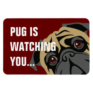 Pug Is Watching Magnet