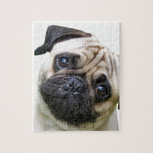 pug jigsaw puzzle