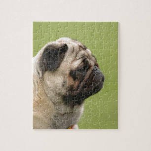 Pug Jigsaw Puzzle