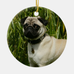 Pug Lookign at Camera Ceramic Tree Decoration