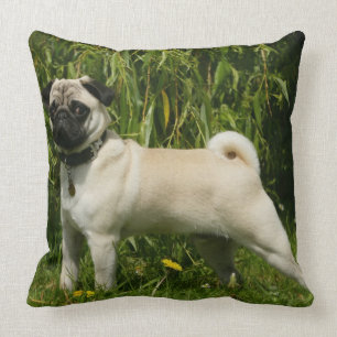 Pug Lookign at Camera Cushion