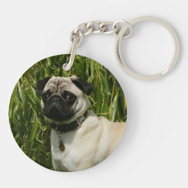 Pug Lookign at Camera Key Ring (Back)