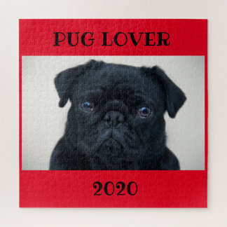 Pug Lover Puzzle 600 +