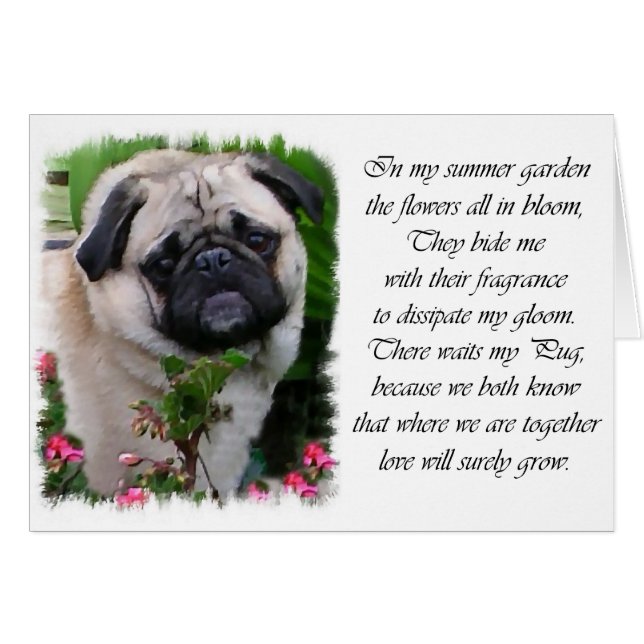 Pug Lovers Gifts (Front Horizontal)