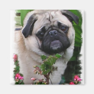 Pug Lovers Gifts Magnet
