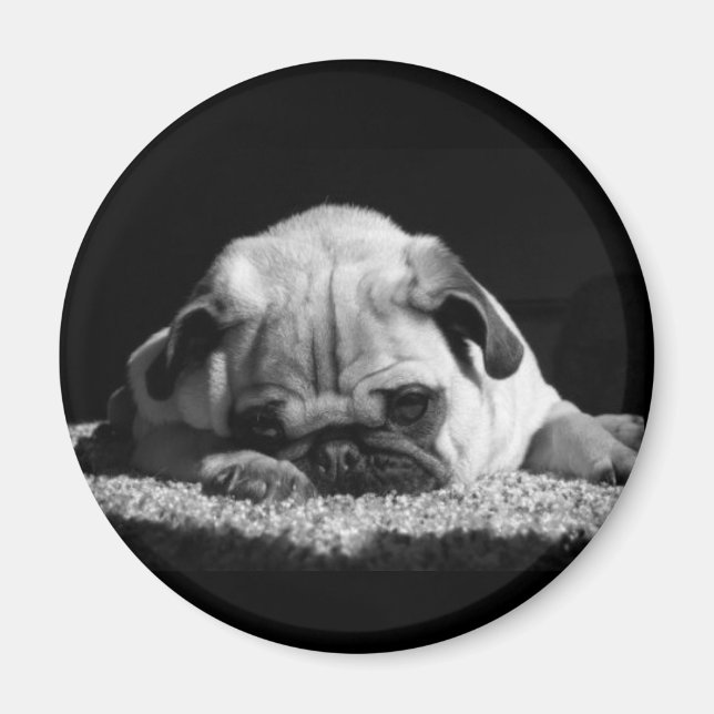 Pug magnet (Front)