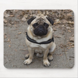 Pug Mouse Mat