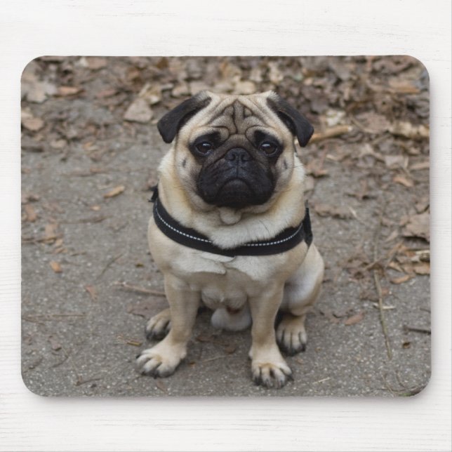 Pug Mouse Mat (Front)