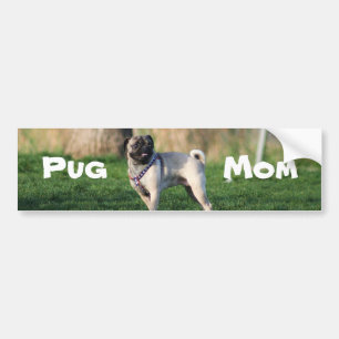 Pug mum bumper sticker