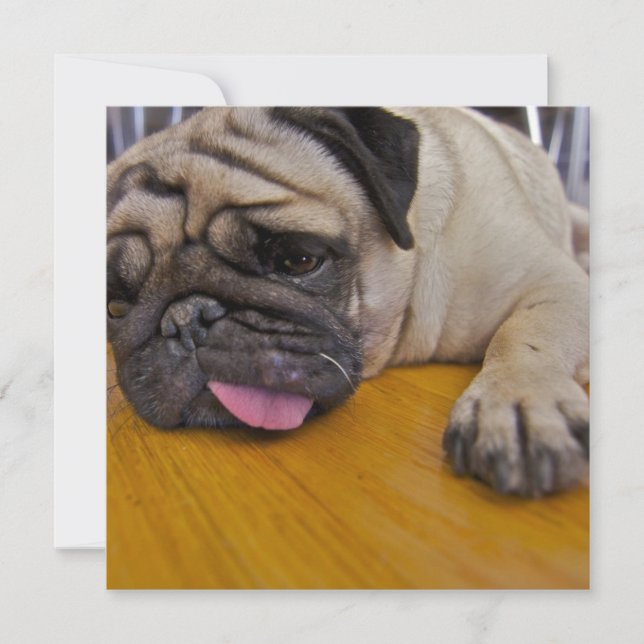 Pug One Too Many Invitation (Front)