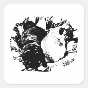 Pug Pair in Snug Bed Square Sticker