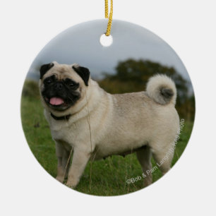 Pug Panting Ceramic Tree Decoration