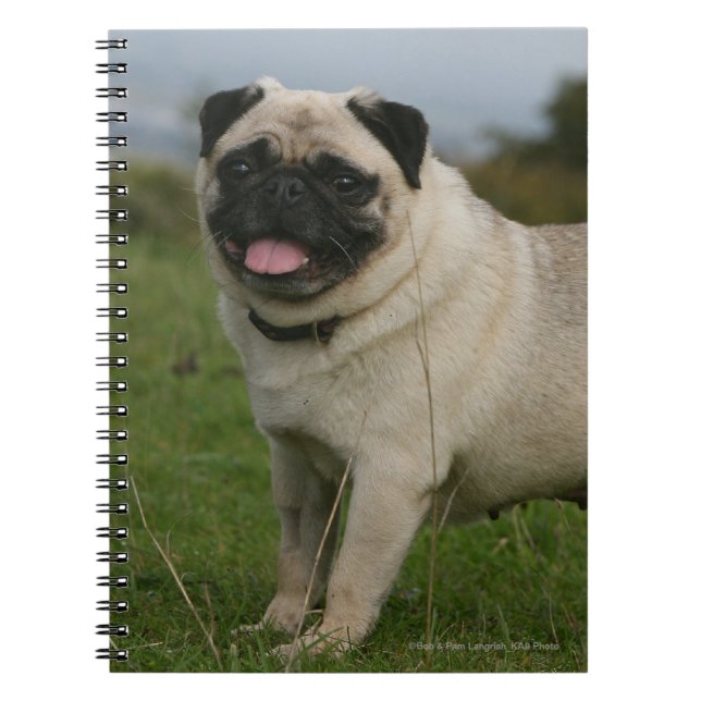 Pug Panting Notebook (Front)