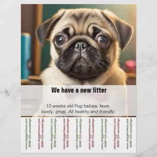 Pug pappy selling Ripp Off Flyer