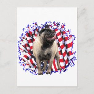 Pug Patriot Postcard