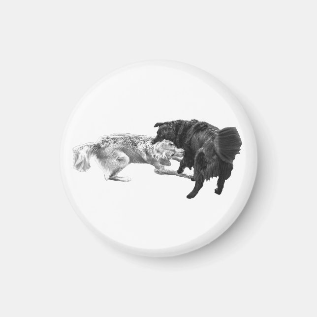 Pug Pause, Shaded Magnet (Front)