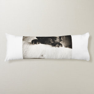 pug peeking in bw body cushion