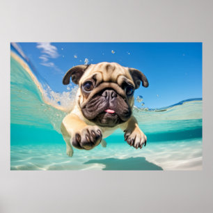 Pug Pet Dog Animal Fun Playing Water Out Poster