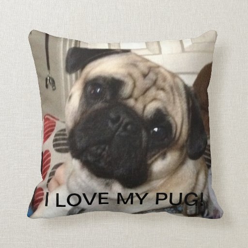 Image of Pug Pillow