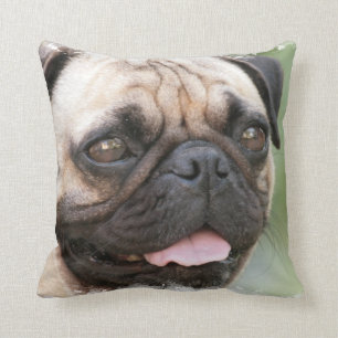 Pug Pillow  