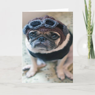 pug pilot card