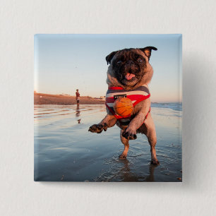 Pug Playing Ball on Beach 15 Cm Square Badge