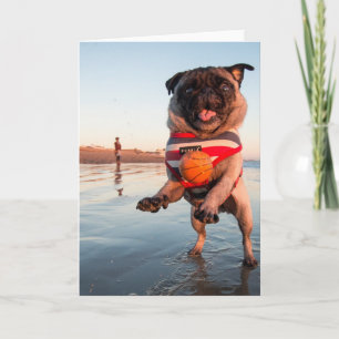 Pug Playing Ball on Beach Card