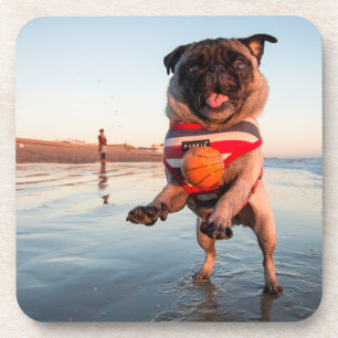 Pug Playing Ball on Beach Coaster