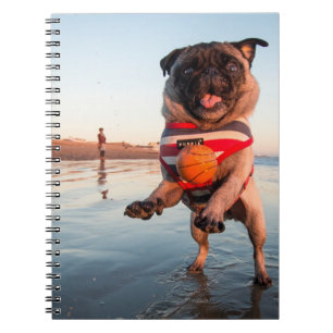 Pug Playing Ball on Beach Notebook