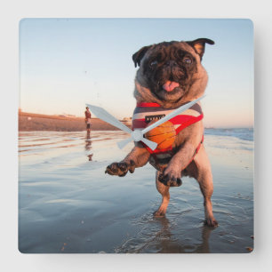 Pug Playing Ball on Beach Square Wall Clock