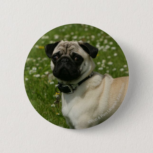 Pug Playing in Flowers 6 Cm Round Badge (Front)