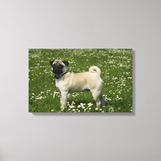 Pug Playing in Flowers Canvas Print (Front)