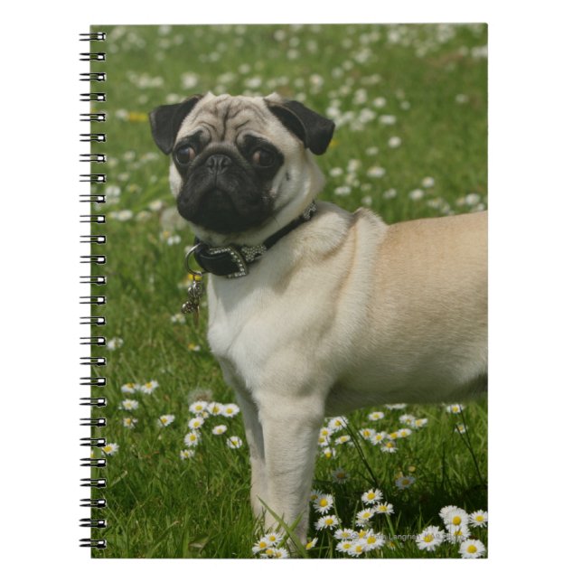 Pug Playing in Flowers Notebook (Front)