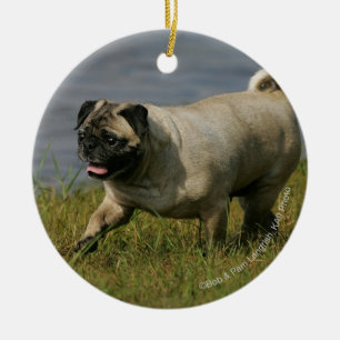 Pug Playing Near Water Ceramic Tree Decoration