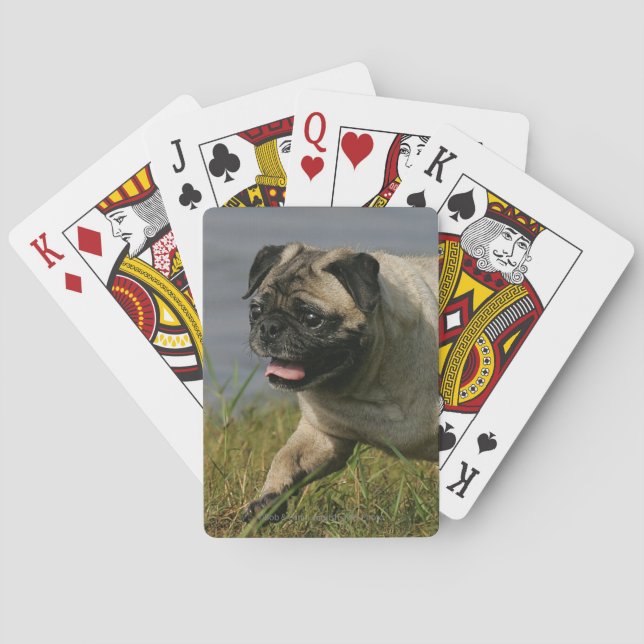 Pug Playing Near Water Playing Cards (Back)
