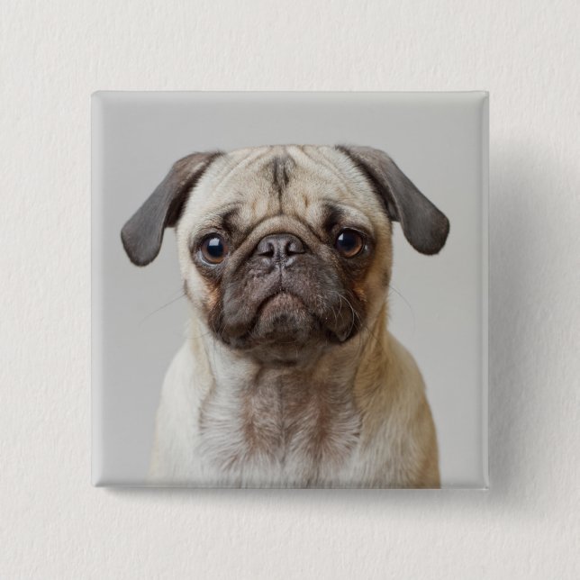 Pug Portrait 15 Cm Square Badge (Front)
