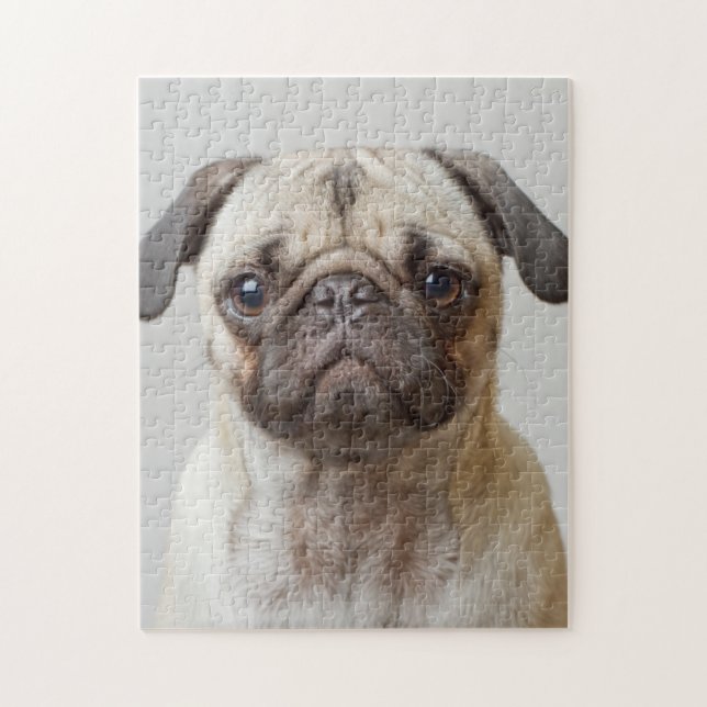 Pug Portrait Jigsaw Puzzle (Vertical)