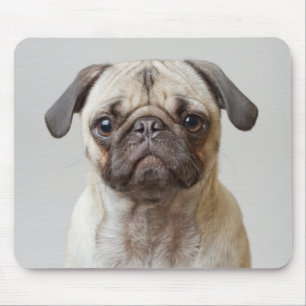 Pug Portrait Mouse Mat