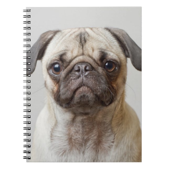 Pug Portrait Notebook (Front)