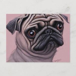 Pug Postcard