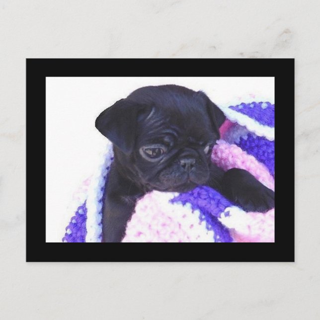 PuG PostCard (Front)