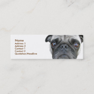 Pug Profile Card