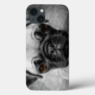 Pug Pup iPhone 13 Case