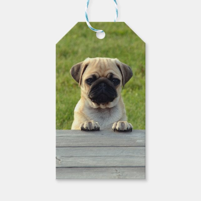 Pug Pup Gift Tags (Front)