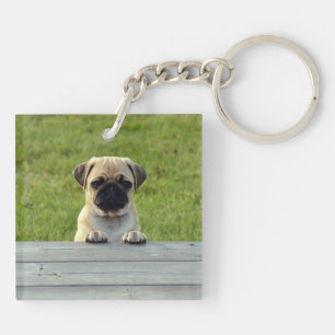 Pug Pup Key Ring