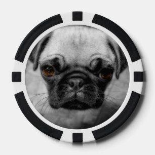 Pug Pup Poker Chips