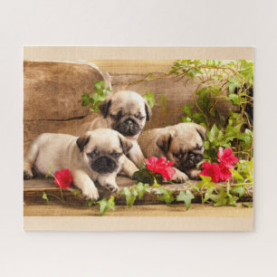 Pug puppies among flowers puzzle